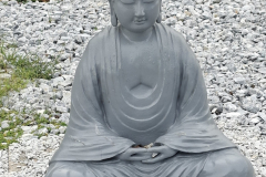 Budda-Escobara
