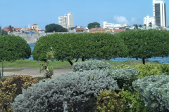Cartagena