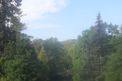 20240817_084345