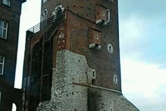 48