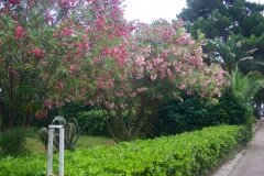 budva_5_ - 32