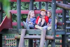 IMG_8388
