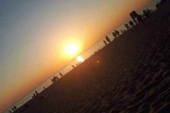received_1676305475866299