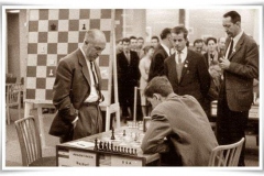 Najdorf