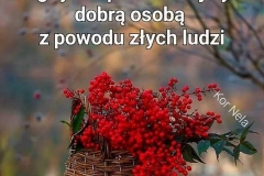 FB_IMG_1666747792035