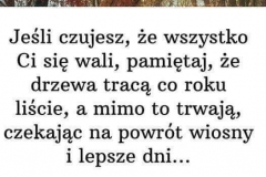 FB_IMG_1666846387914