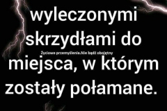 FB_IMG_1666846628549