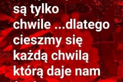 FB_IMG_1666864302753