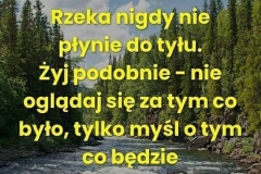 FB_IMG_1666898680446