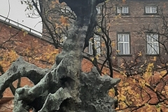 20221110_115715