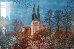 20230601_104912